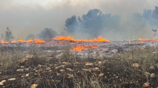 השריפות במחוז החוף, אזור חדרה (צילום: כבאות והצלה מחוז חוף)