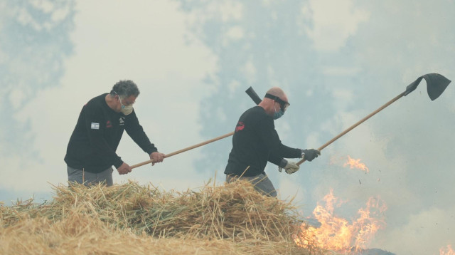 שריפה בעפולה (צילום: יעקב אפשטיין)
