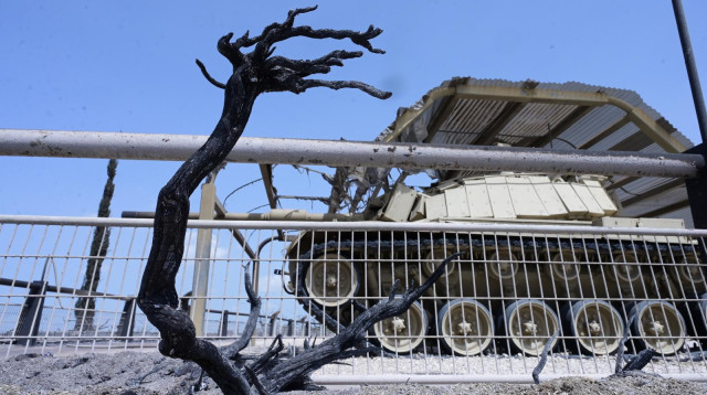 טנק במוזיאון יד לשריון ולידו צמחייה שרופה (צילום: אבשלום ששוני)