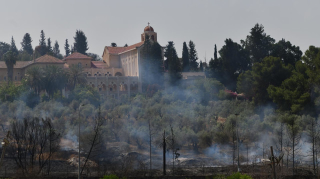 השריפות בהרי ירושלים (צילום: אבשלום ששוני)