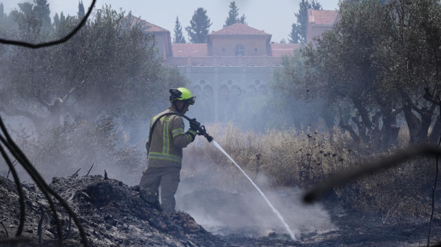 פעולות כיבוי בשריפות בהרי ירושלים (צילום: אבשלום ששוני)