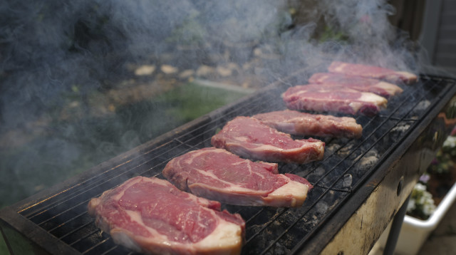 מנגל, על האש, בשרים, סטייקים (צילום: מיכאל גלעדי, פלאש 90)