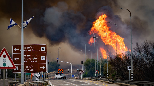 שריפה בישראל (צילום: אורן בן חאקון פלאש 90)
