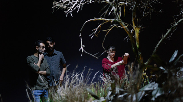 תערוכת  "הגן" של יעל מוריה. מוזיאון תל אביב (צילום: אנסטסיה שוב)