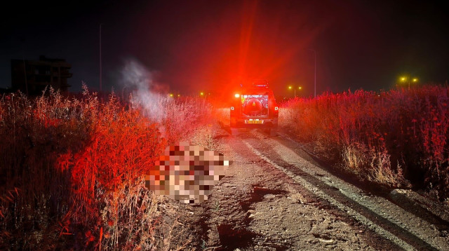 זירת האירוע בג'לג'וליה (צילום: דוברות כבאות והצלה לישראל מחוז מרכז)