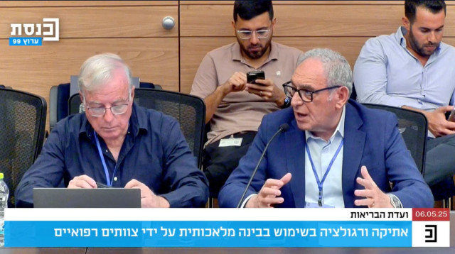 ועדת הבריאות של הכנסת (צילום: צילום מסך)