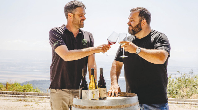 יקב פלך (צילום: ענבל אור לב)