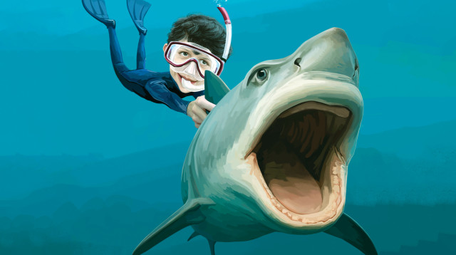 עלינו לגדל כרישים לליטוף ושעשוע, לסלפי ולסרטונים לוואטסאפ, לטיקטוק ולטלגרם (צילום: איור: אופיר בגון)