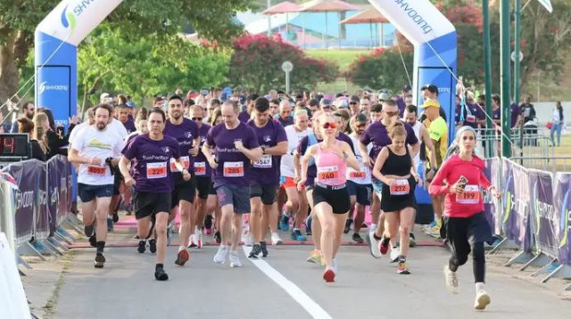  (צילום: ארז ארטנשטיין, שוונג)