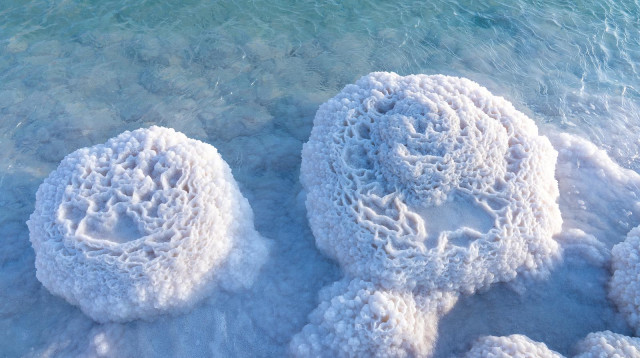 חוף הפטריות בים המלח (צילום: מועצה אזורית תמר)