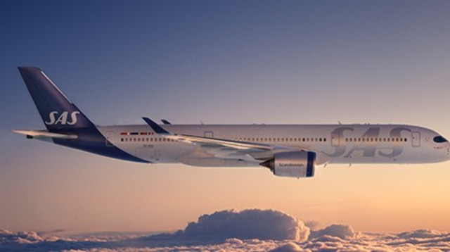 מטוס של SAS (צילום: צילום מסך אתר החברה)