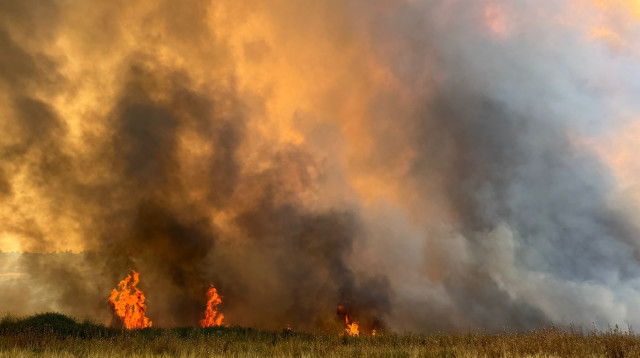 שריפה ברמת השופט (צילום: כבאות והצלה)