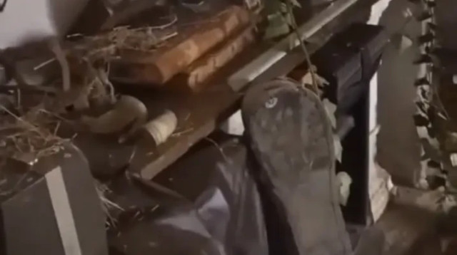 נכנס לדלת אחורית בבית שקנה - זה מה שהוא מצא (צילום: צילום מסך מתוך האינסטגרם)