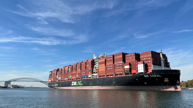 חברת צים - עלייה בהכנסות (צילום: חברת "צים")