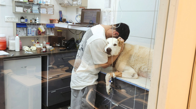 עינב רפאל נפרד מיאנוש (צילום: פרטי)