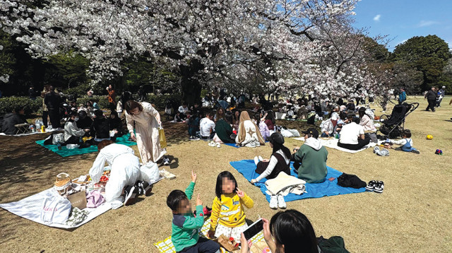 פיקניק ביפן (צילום: נאוה רוזנפלד)