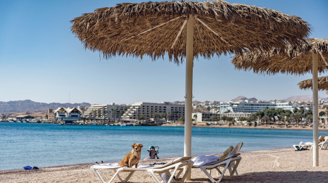 אילת (צילום: חיים גולדברג/פלאש 90)