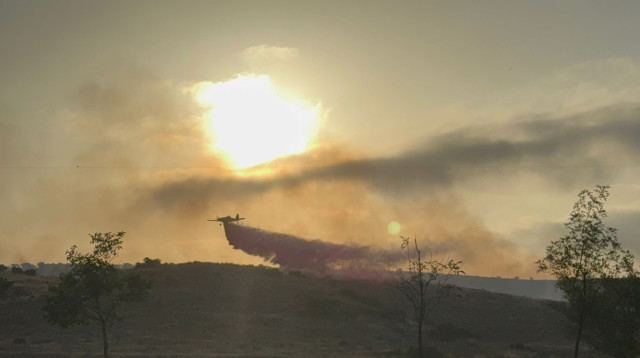 שריפה סמוך לראש העין (צילום: דוברות כבאות והצלה לישראל מחוז מרכז)