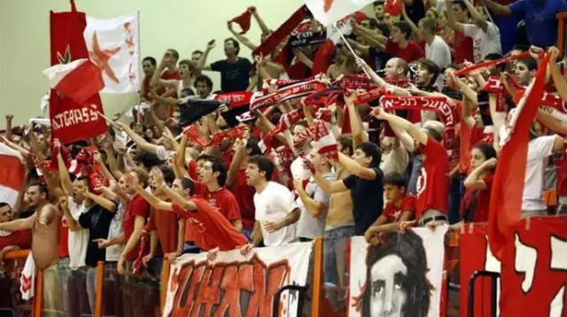  (צילום: מערכת וואלה, דניאל מאיה)