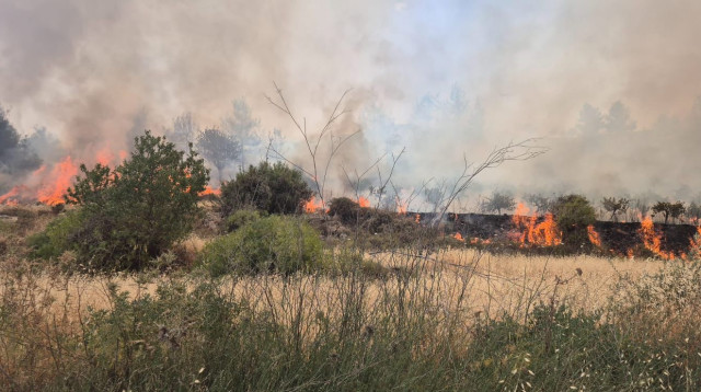 שריפה בגוש עציון (צילום: כבאות והצלה מחוז יו"ש)