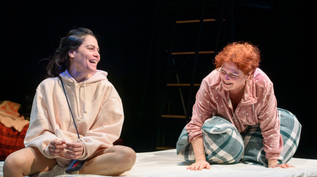 "לילה טוב, אמא" (צילום: תיאטרון הקאמרי)