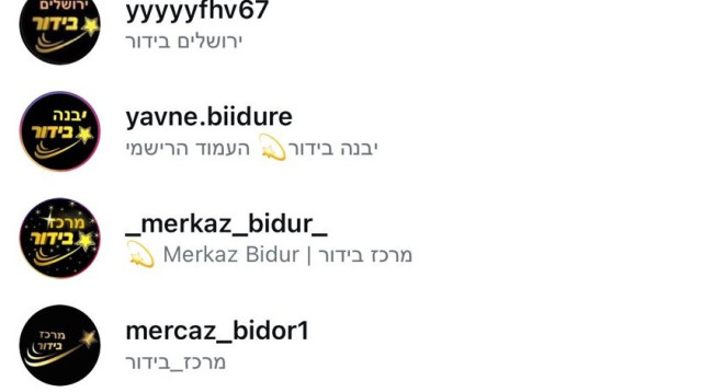 "עמודי הבידור" (צילום: צילום מסך אינסטגרם)