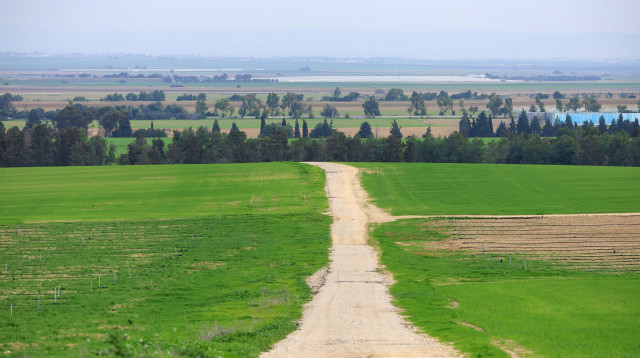 שדות בעוטף עזה (צילום: משה שי, פלאש 90)