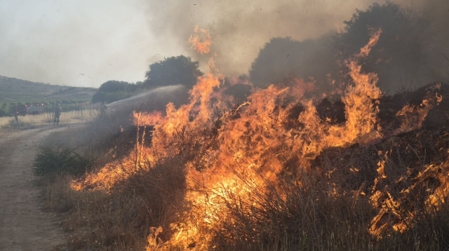 השריפה סמוך למודיעין (צילום: כבאות והצלה מחוז מרכז)