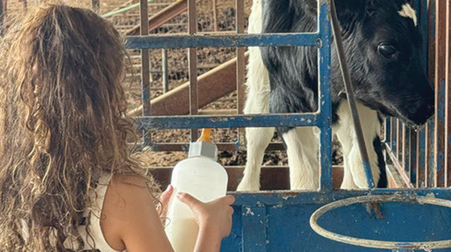 טיול שבועות - הזדמנות מושלמת לצאת מהשגרה ולטייל ברחבי הארץ (צילום: יעל דוגמא)