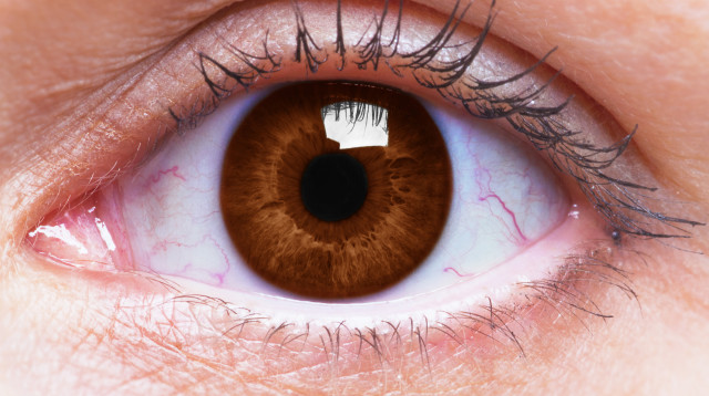 מה צבע העיניים שלכם אומר עליכם? (צילום: אינגאימג')