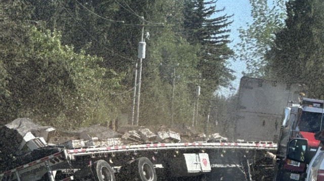 תאונת בוושינגטון- מליוני דבורים נמלטו (צילום: צילום מסך רשת X)