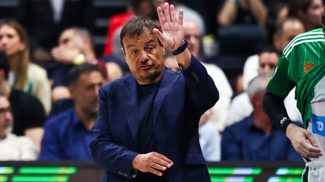 ארגין עתמאן, מאמן פנאתינייקוס (צילום: GettyImages)