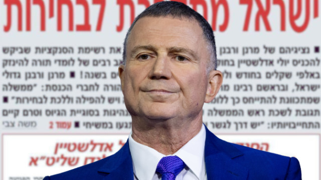 יולי אדלשטיין (צילום: יונתן זינדל, פלאש 90)