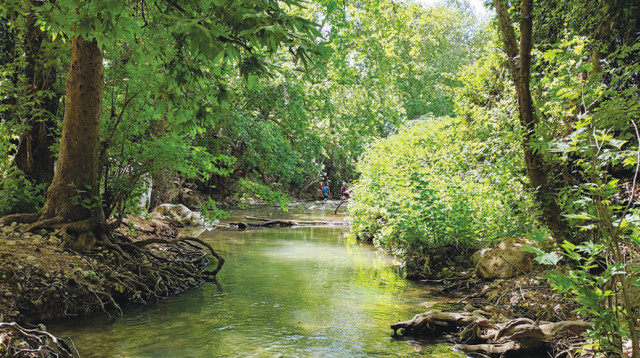 עין חרדלית (צילום: Ezrazo)