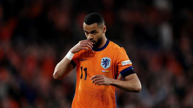 שחקן נבחרת הולנד, קודי גאקפו (צילום: GettyImages, Soccrates Images)