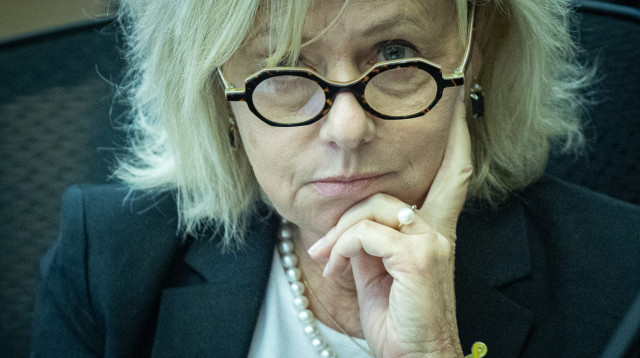 גלי בהרב מיארה (צילום: יונתן זינדל, פלאש 90)