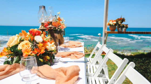 Yam (צילום: דור סקרה)