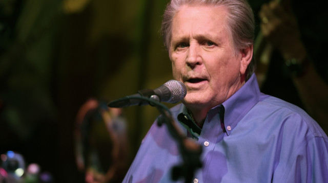 בריאן וילסון (צילום: Kevin Winter.GettyImages)