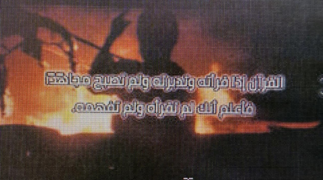 הסתה לטרור - דעאש (צילום: דוברות המשטרה)