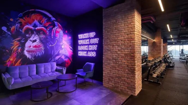  (צילום: יחצ)