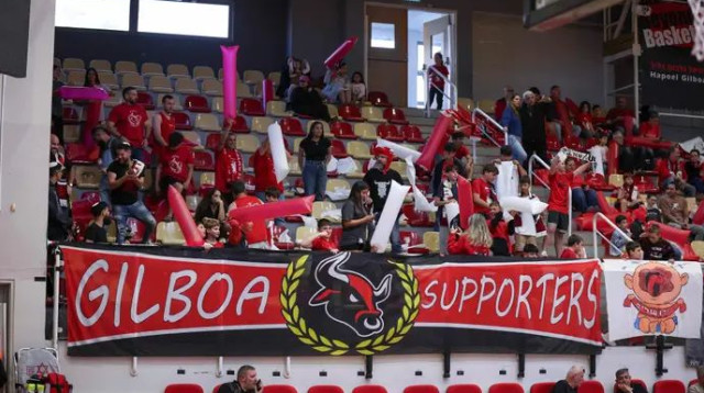  (צילום: מאור אלקסלסי)