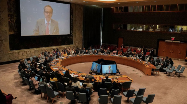 יו"ר סבא"א רפאל מריאנו מופיע בפני מועצת הביטחון של האו"ם (צילום: צילום מסך לפי סעיף 27א)
