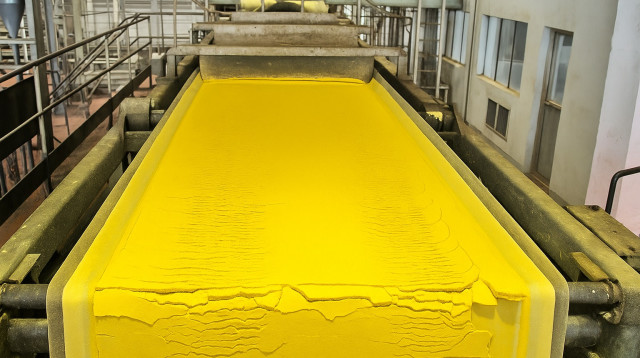 עוגת אורניום צהובה. המסוע במפעל לאחר הכרייה (צילום: עיבוד מחשב: מעריב אונליין)