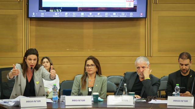 דיון בועדת הכלכלה שעוסק בהחזרת האזרחים שנתקעו בחו"ל  (צילום: דוברות הכנסת, נועם מושקוביץ)