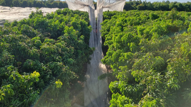 חקלאות (צילום: ארז צוקרמן, קיבוץ רמת יוחנן)