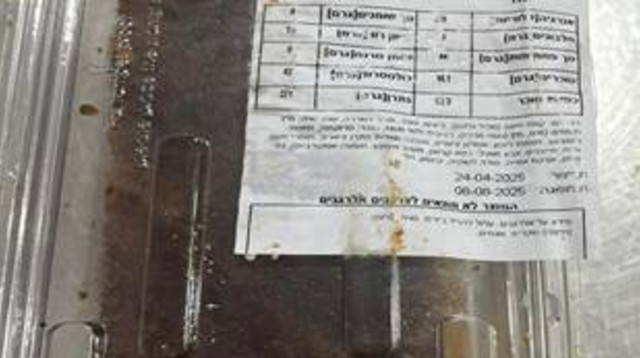 עוגת גזר ללא סוכר של קונדיטוריה שוקיס (צילום: דוברות משרד הבריאות)