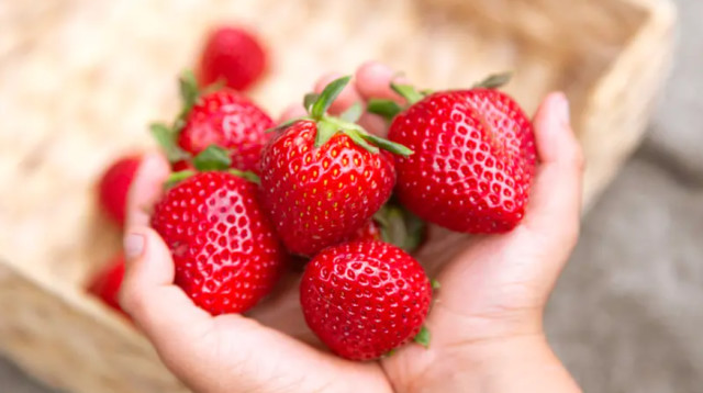 תותים: מועילים לבריאות הלב (צילום: iStock)