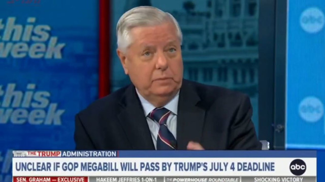 לינדזי גרהאם בריאיון ב-ABC (צילום: צילום מסך abcnews)