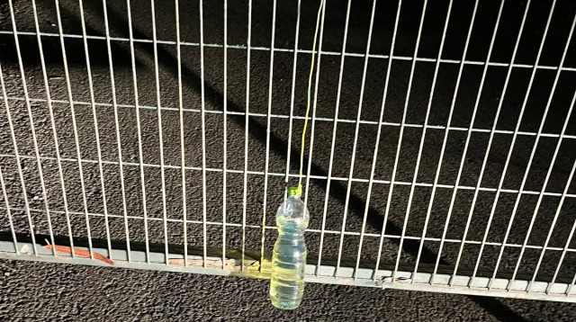 פרוטקשן בצפון (צילום: שלום אלבז)