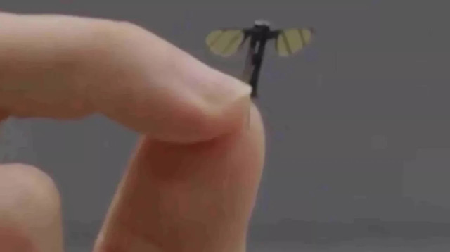 רחפן בגודל של זבוב (צילום: CCTV)